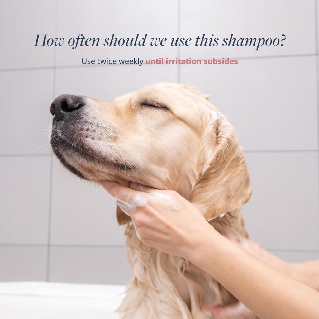 dog shampoo